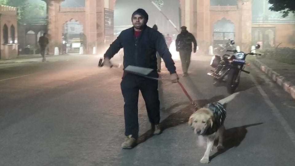 जांच करता डॉग स्क्वायड 