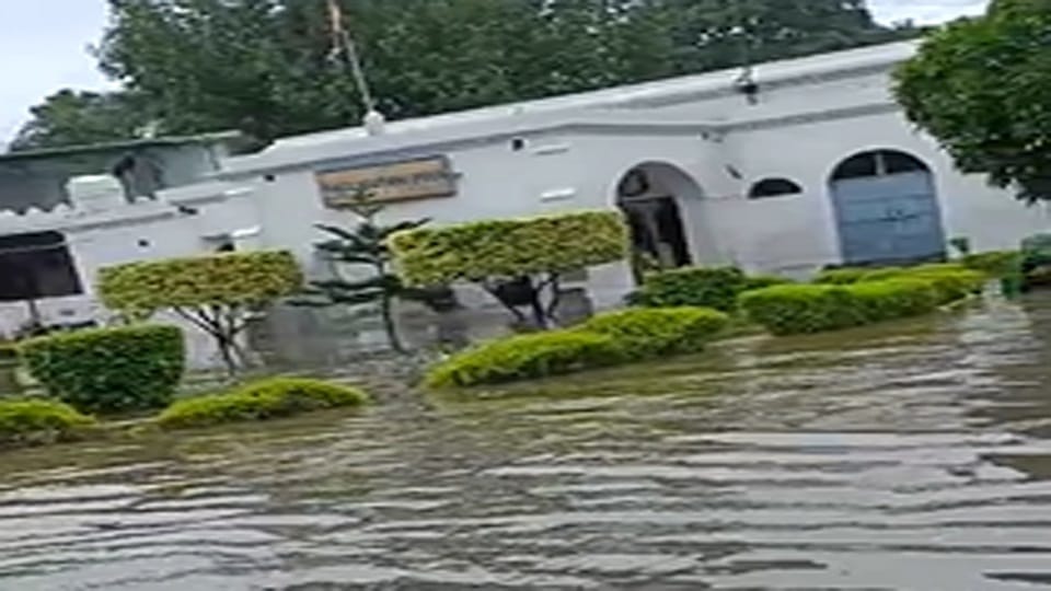 एएमयू में पानी