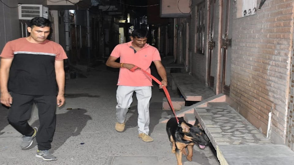 बालक को तलाशती डॉग स्क्वायड की टीम