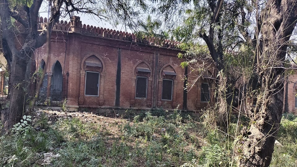 मुमताज हाउस के पीछे उगी घास