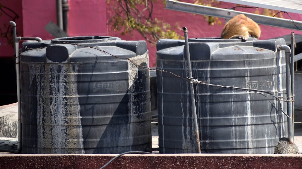 अस्पताल पानी की टंकी में पानी पीता बंदर