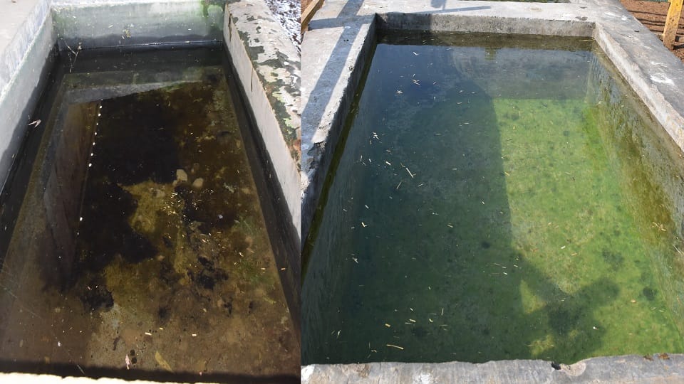 गोशाला की नाद का हाल