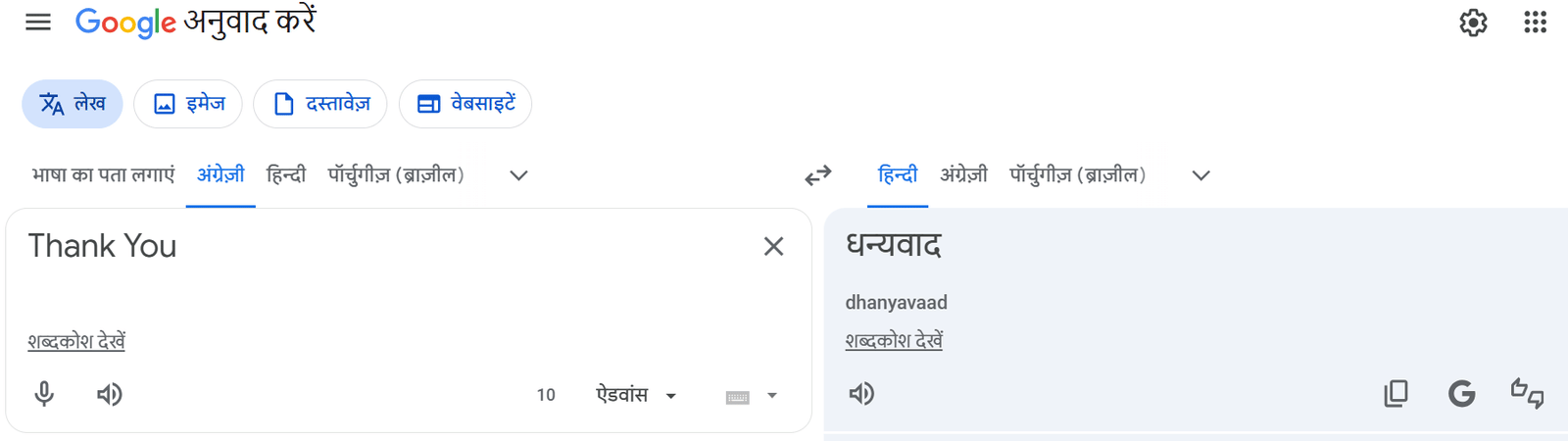 गूगल के 20 वर्ष: दिलचस्प खुलासा, सबसे ज्यादा अनुवाद हुआ यह शब्द; जिसका मतलब बच्चे-बच्चे को है पता, जानें नाम