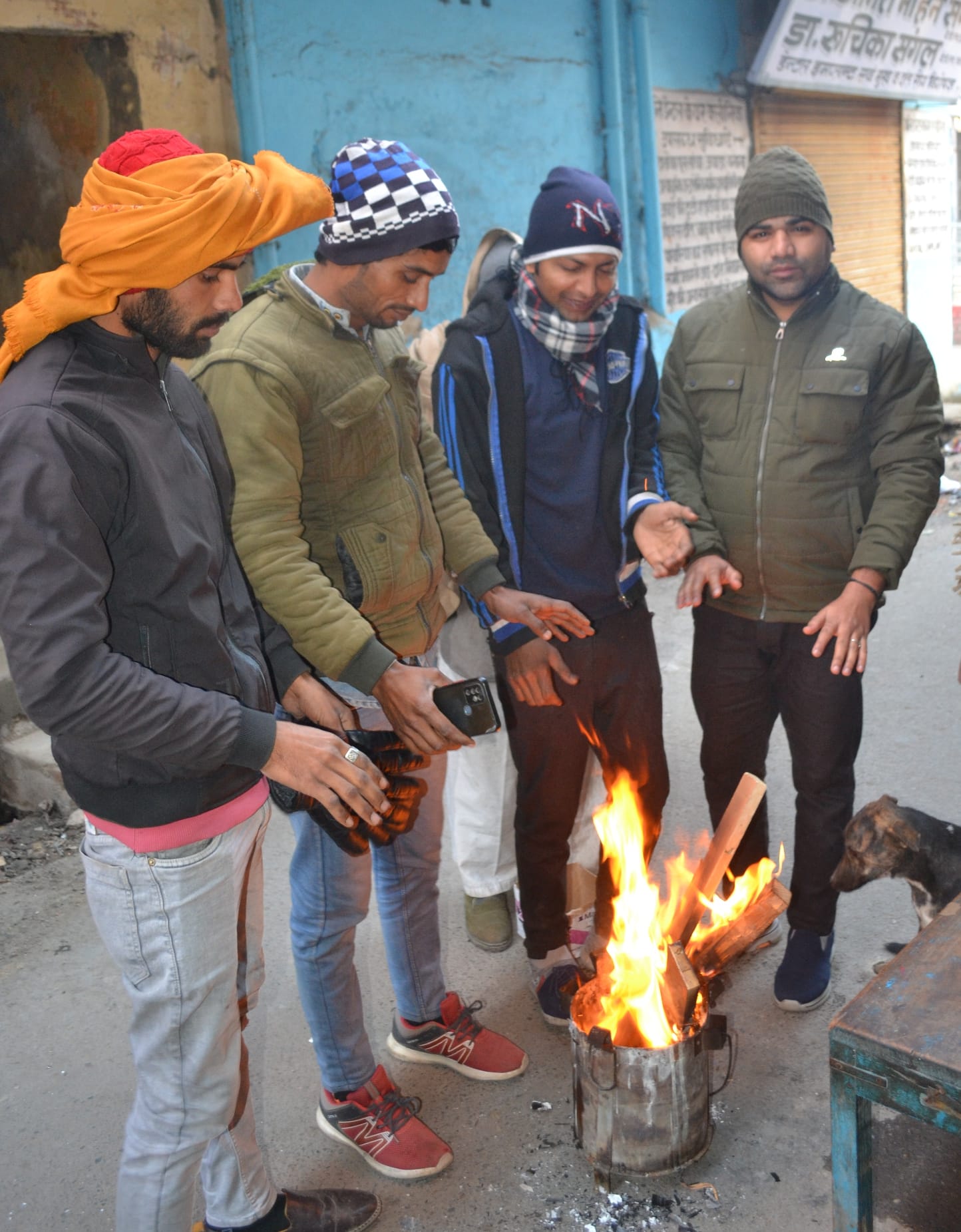 शामली करौड़ी मार्ग पर गोभी की फसल पर पड़ा पाला। शामली करौड़ी मार्ग पर गोभी की फसल पर पड़ा पाला।