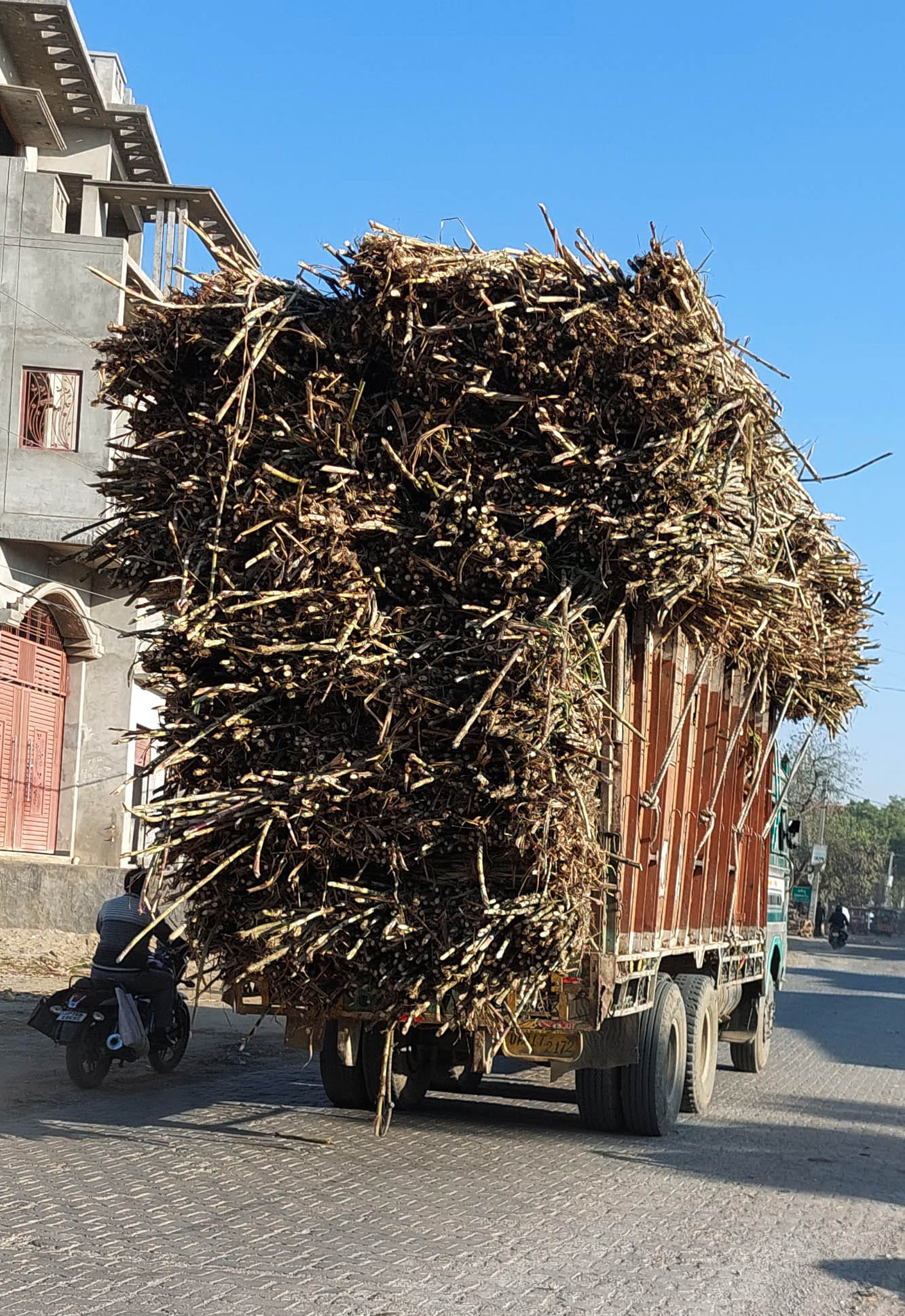 चरथावल-थानाभवन मार्ग पर जगह-जगह बनें गड्ढें