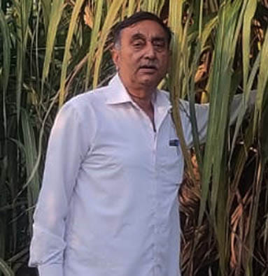 बधाई कलां में सहफसली के साथ रोपित की गई ईख की पौधों को निराई करती महिलाएं बधाई कलां में सहफसली के साथ रोपित की गई ईख की पौधों को निराई करती महिलाएं