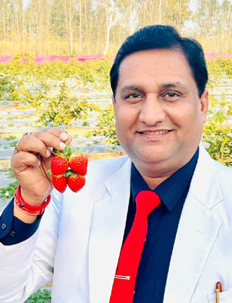 स्ट्राबेरी की खेती स्ट्राबेरी की खेती