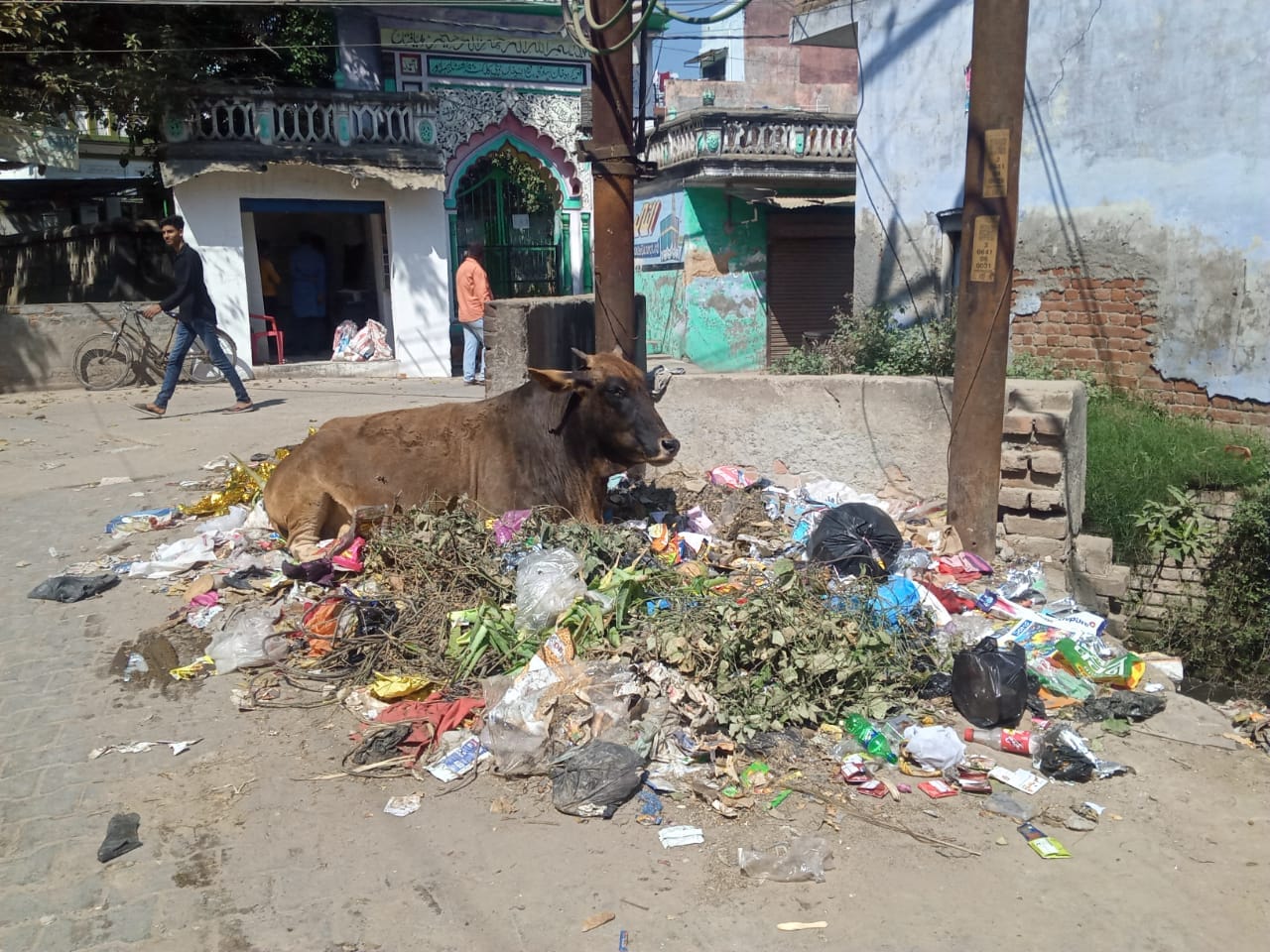 शहर में पुराना एआरटीओ कार्यालय के पास जलता कूड़ा