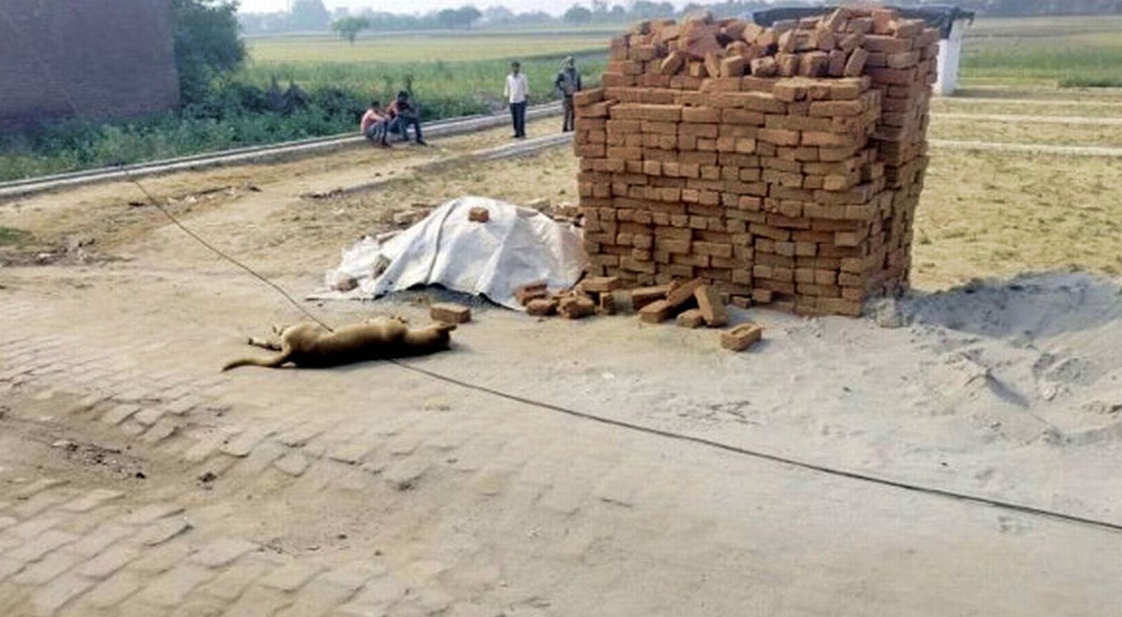 (18 बीडीएन-11)विद्युत कार्यालय पर धरने पर बैठे संविदा कर्मी।संवाद (18 बीडीएन-11)विद्युत कार्यालय पर धरने पर बैठे संविदा कर्मी।संवाद