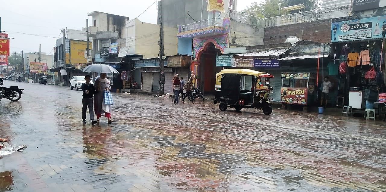 इस्माईलाबाद। बरसात व तेज हवाओं के चलते खेतों में बिछी गेहूं की फसल। इस्माईलाबाद। बरसात व तेज हवाओं के चलते खेतों में बिछी गेहूं की फसल।