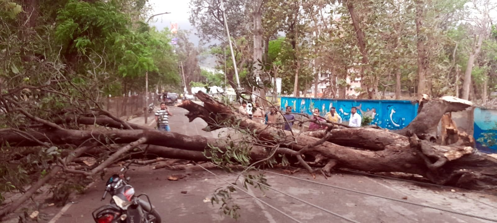 पेड़ के नीचे दबकर घायल हुआ मनीष पेड़ के नीचे दबकर घायल हुआ मनीष