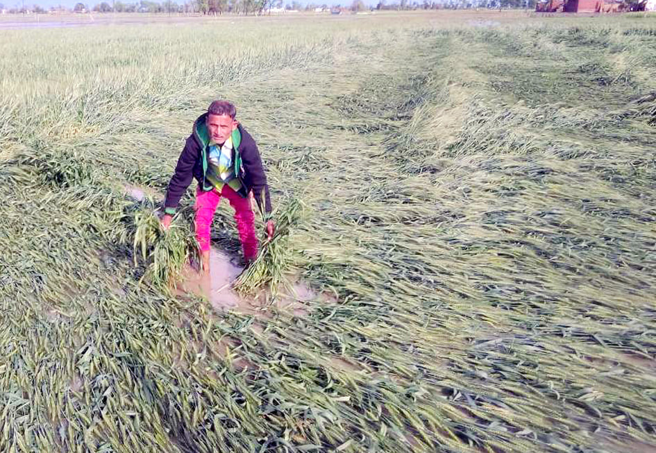 पेड़ के नीचे दबकर घायल हुआ मनीष पेड़ के नीचे दबकर घायल हुआ मनीष