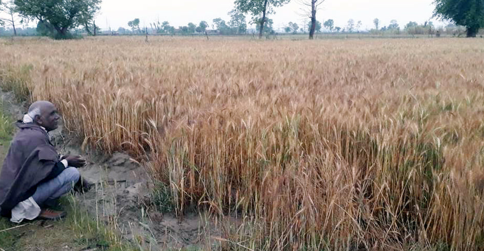 पेड़ के नीचे दबकर घायल हुआ मनीष पेड़ के नीचे दबकर घायल हुआ मनीष