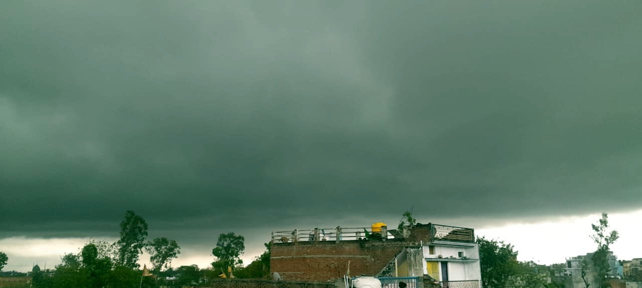 पेड़ के नीचे दबकर घायल हुआ मनीष पेड़ के नीचे दबकर घायल हुआ मनीष