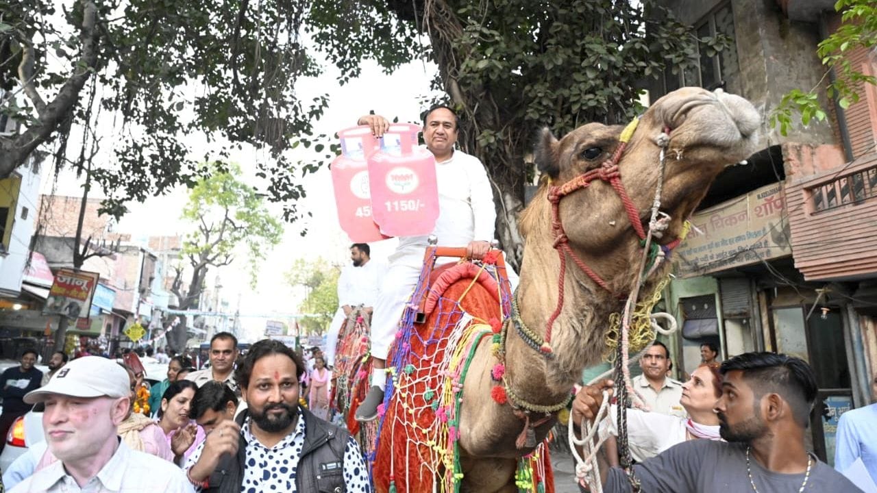 फोटो 44 - वार्ड 18 में हाथ से हाथ जोड़ो कार्यक्रम के दौरान ऊंट पर बैठकर बढ़ती महंगाई के खिलाफ प् फोटो 44 - वार्ड 18 में हाथ से हाथ जोड़ो कार्यक्रम के दौरान ऊंट पर बैठकर बढ़ती महंगाई के खिलाफ प्