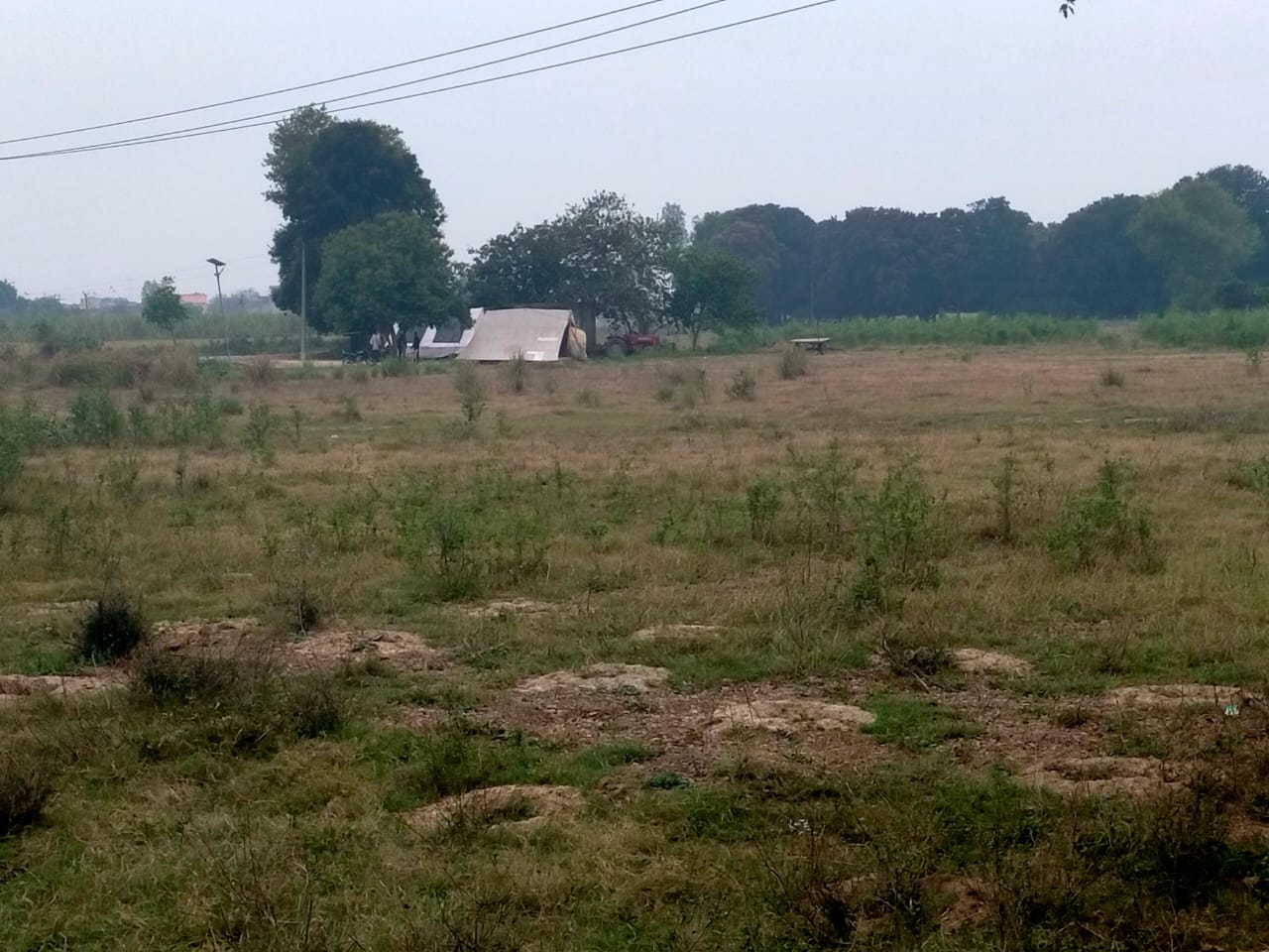 शामली गांव भैसवाल में स्थित स्टेडियम की भूमि शामली गांव भैसवाल में स्थित स्टेडियम की भूमि
