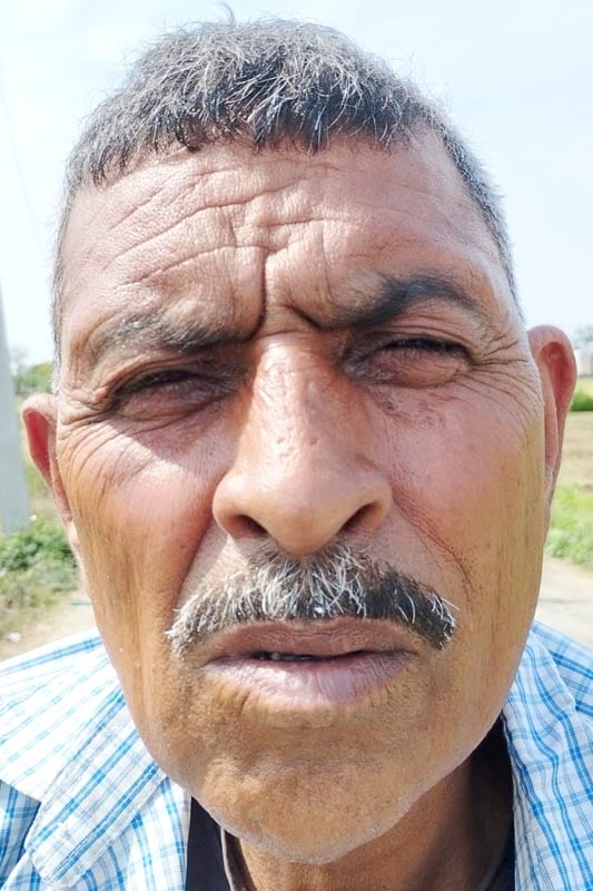 खेत में गिरी गेहूं की फसल। संवाद खेत में गिरी गेहूं की फसल। संवाद
