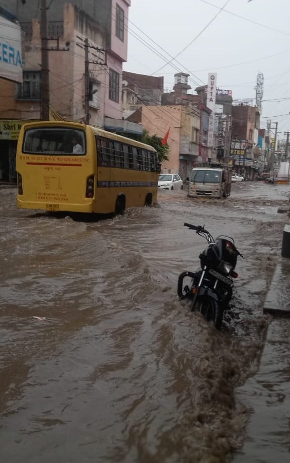 बारिश के बाद डिंग क्षेत्र में जमीन पर बिछी गेहूं की फसल। संवाद बारिश के बाद डिंग क्षेत्र में जमीन पर बिछी गेहूं की फसल। संवाद