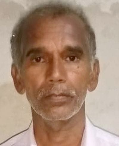 (01 बीडीएन-25)खेतो में गिरी गेंहू की फसल।संवाद (01 बीडीएन-25)खेतो में गिरी गेंहू की फसल।संवाद