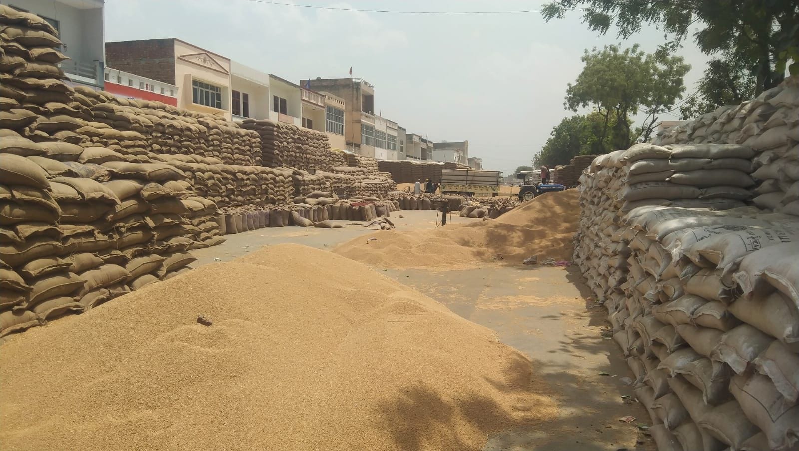 फोटो 15- अनाज मंडी में गेंहू की फसल का उठान करते मजदूर। संवाद फोटो 15- अनाज मंडी में गेंहू की फसल का उठान करते मजदूर। संवाद