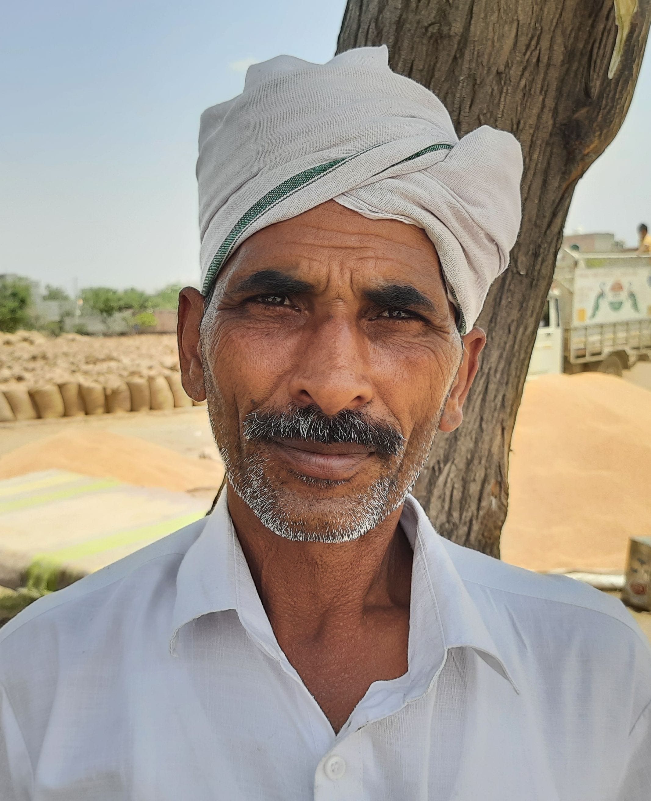 फोटो 05: सनपेड़ा खरीद केंद्र में बारदाना न होने के कारण खुले में पड़े गेहूं के ढेर। संवाद