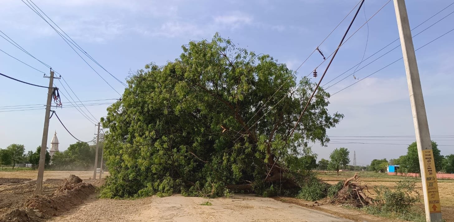 फोटो 41: गांव टांडा के पास खेत में खंभे समेत गिरा ट्रांसफार्मर। संवाद फोटो 41: गांव टांडा के पास खेत में खंभे समेत गिरा ट्रांसफार्मर। संवाद