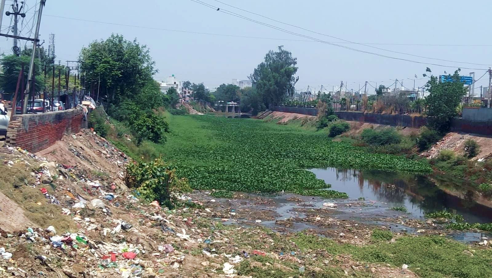 फोटो 02 - ड्रेन नंबर 8 के अंदर पड़ी गंदगी।