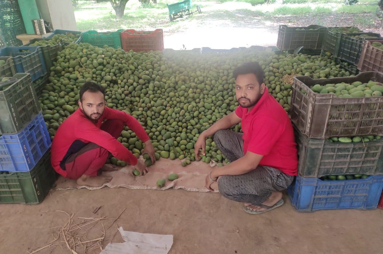 बिडौली क्षेत्र में बिजली के तारों को सही करते विद्युत कर्मी बिडौली क्षेत्र में बिजली के तारों को सही करते विद्युत कर्मी