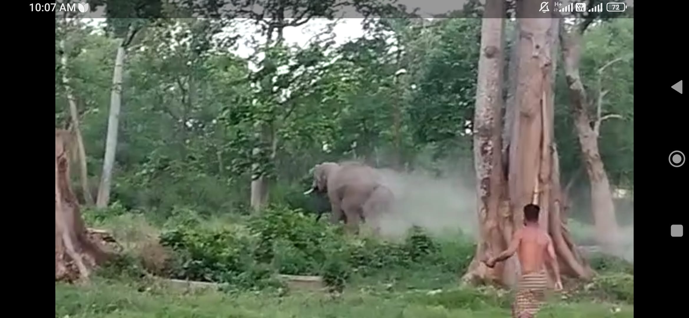 कालागढ़ की हाथीशाला में घुसे जंगली हाथी को फायरिंग कर भगाते कर्मचारी। कालागढ़ की हाथीशाला में घुसे जंगली हाथी को फायरिंग कर भगाते कर्मचारी।