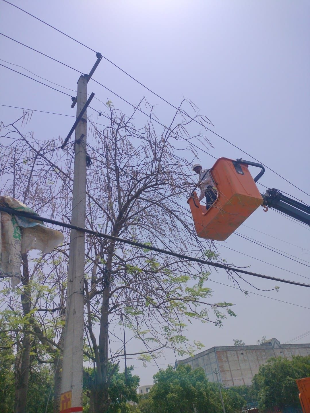 फोटो 08. लाइन में फाल्ट आने के बाद मरम्मत कार्य में जुटे बिजलीकर्मी। संवाद फोटो 08. लाइन में फाल्ट आने के बाद मरम्मत कार्य में जुटे बिजलीकर्मी। संवाद