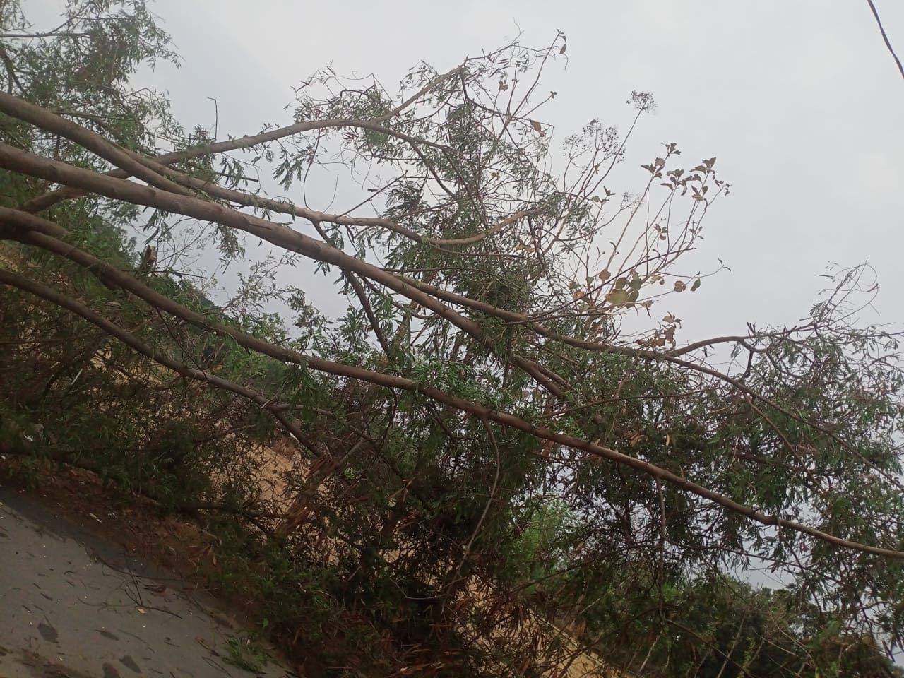 टिनिच क्षेत्र के सूरत गढ चौराहे पर तेज हवा से गिरा बिजली का पोल । टिनिच क्षेत्र के सूरत गढ चौराहे पर तेज हवा से गिरा बिजली का पोल ।