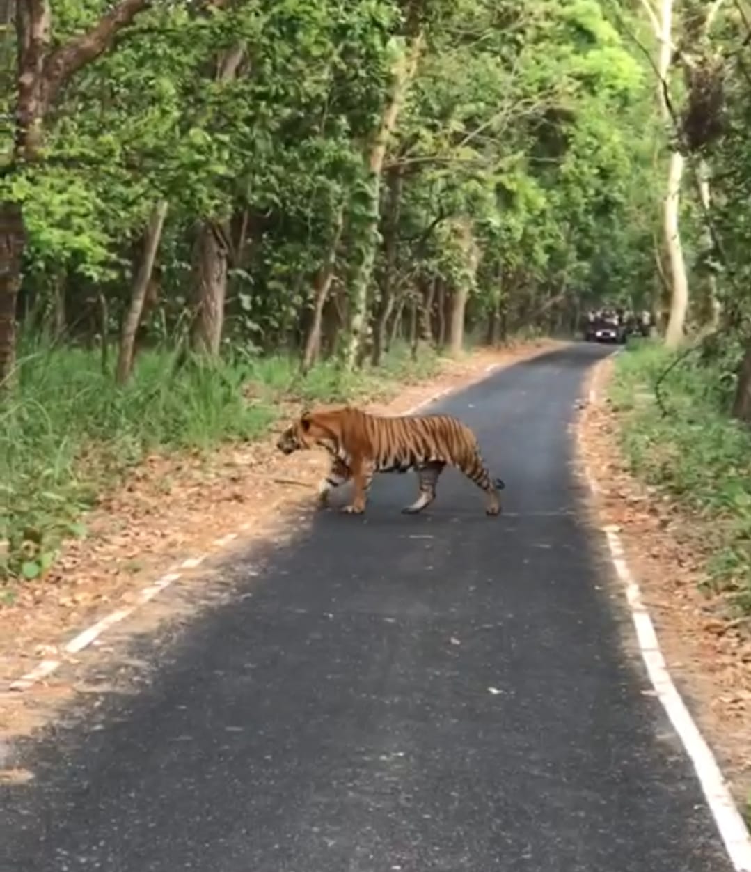 मुस्तफाबाद स्थित पार्किंग स्थल पर लगीं वाहनों की कतार। संवाद