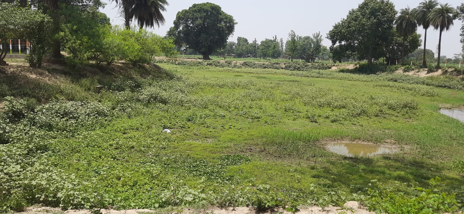 गिंहा में सूखा पड़ा अमृत सरोवर