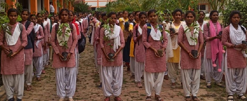 एसडीएम शैलेश दुबे को अमरूद का पौधा भेंट करते हियुवा कार्यकर्ता एसडीएम शैलेश दुबे को अमरूद का पौधा भेंट करते हियुवा कार्यकर्ता
