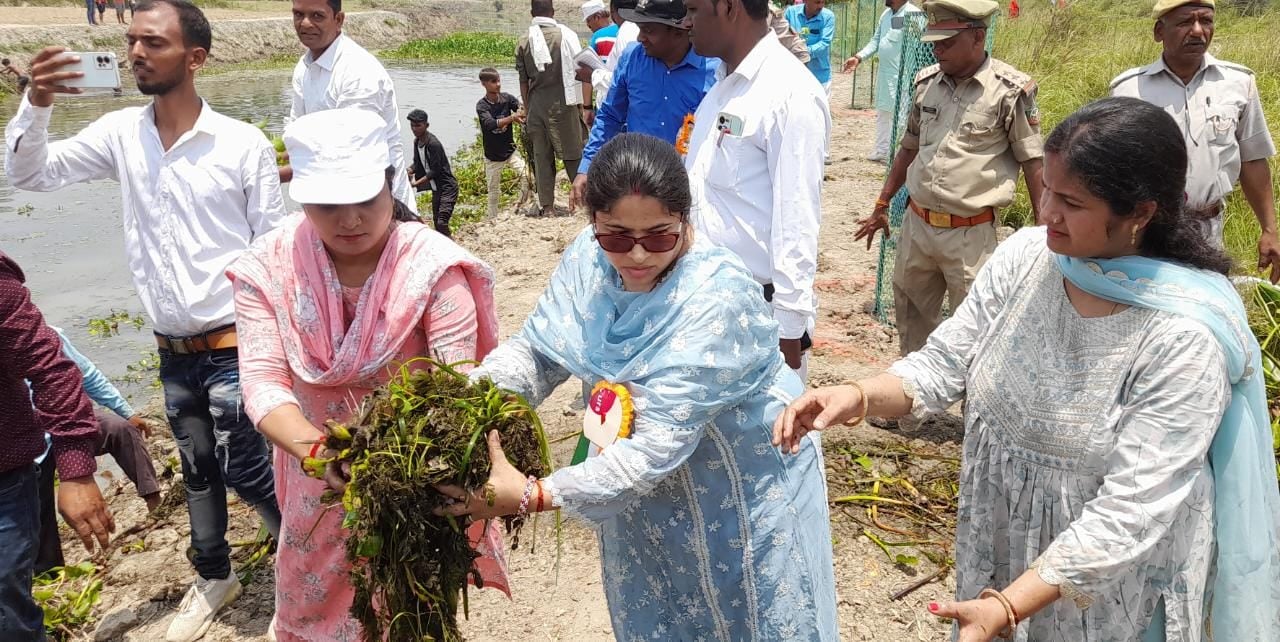 एसडीएम शैलेश दुबे को अमरूद का पौधा भेंट करते हियुवा कार्यकर्ता एसडीएम शैलेश दुबे को अमरूद का पौधा भेंट करते हियुवा कार्यकर्ता