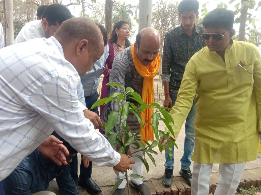 एसडीएम शैलेश दुबे को अमरूद का पौधा भेंट करते हियुवा कार्यकर्ता एसडीएम शैलेश दुबे को अमरूद का पौधा भेंट करते हियुवा कार्यकर्ता
