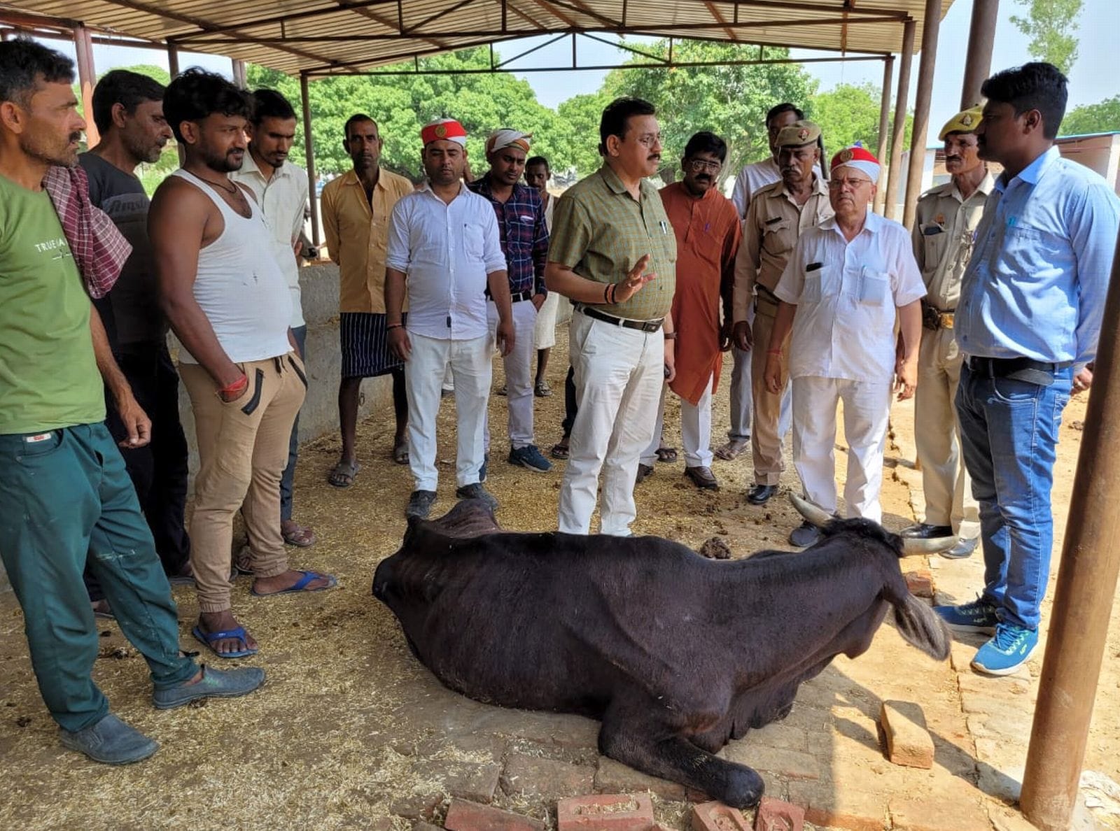 ग्राम बनकोटा में गोशाला में हौज में भरे पानी की जांच करते एसडीएम विजय कुमार मिश्र। संवाद