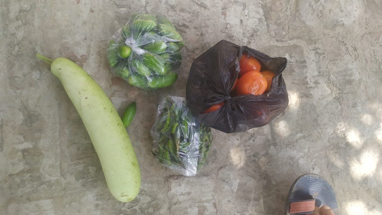 गौर क्षेत्र में दरिदंगी की शिकार बिटिया की सड़क के किनारे पड़ी साइकिल। गौर क्षेत्र में दरिदंगी की शिकार बिटिया की सड़क के किनारे पड़ी साइकिल।