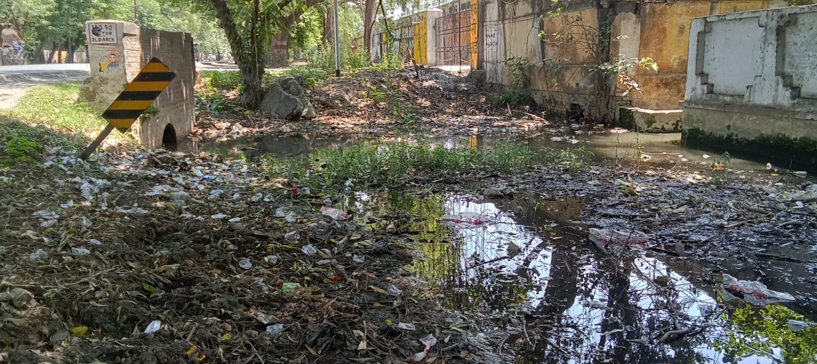 शहर में ब्रह्मचारी घाट के पास हो रही सफाई। संवाद