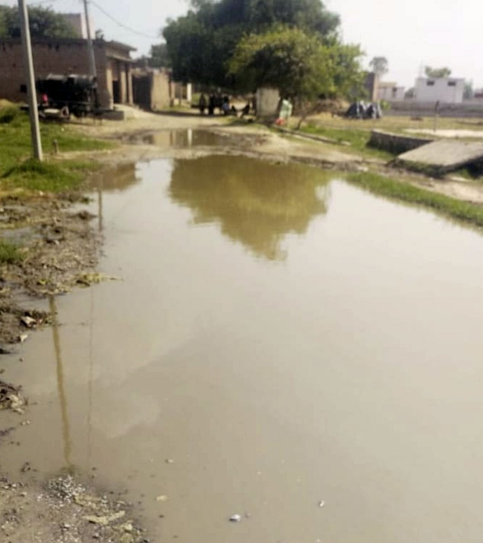 दबतोरा ग्राम पंचायत में गंदगी से अटा पड़ा खड़ंजा और नाली। संवाद दबतोरा ग्राम पंचायत में गंदगी से अटा पड़ा खड़ंजा और नाली। संवाद