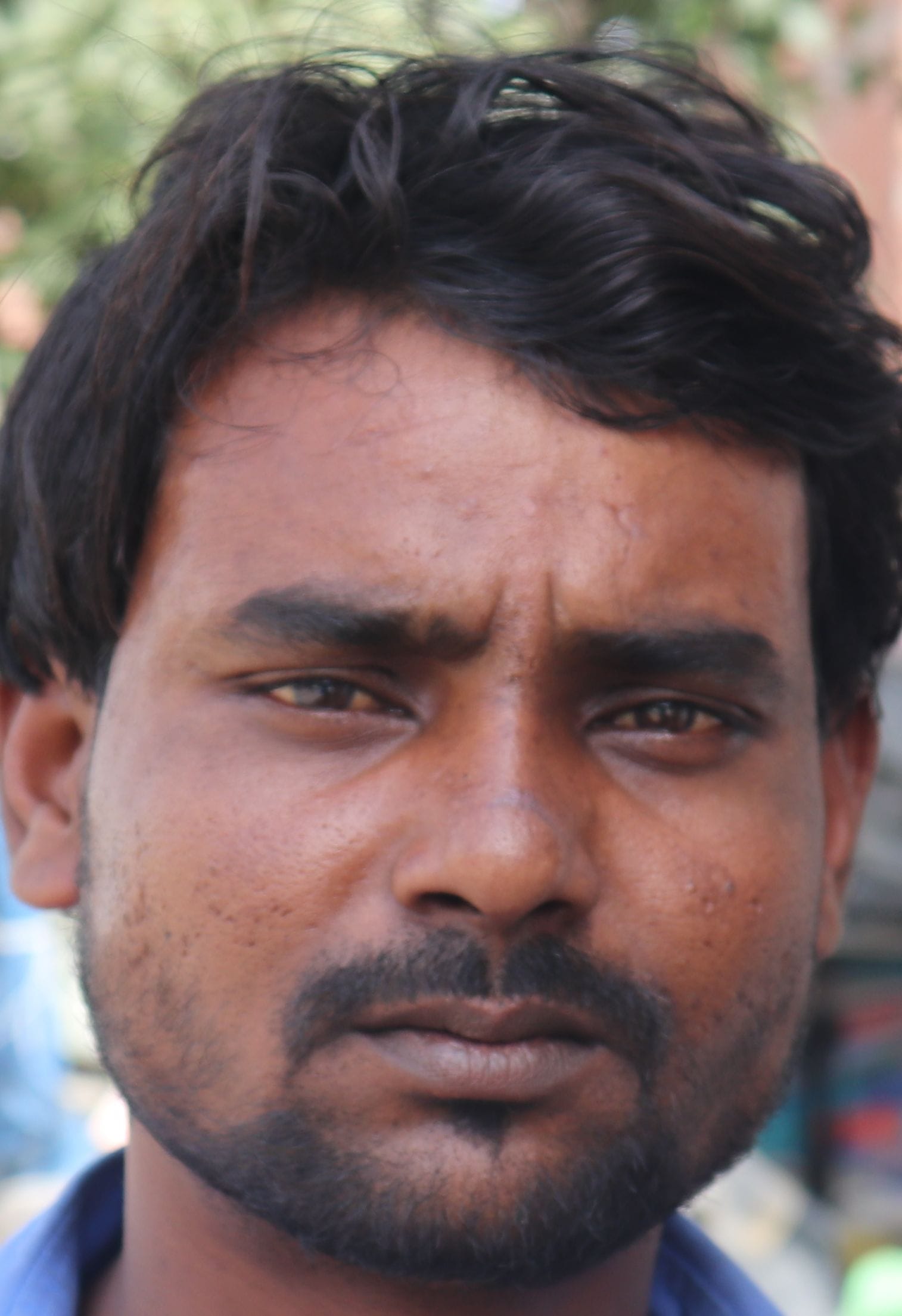 पक्का तालाब में पड़े कूड़े में खाना ढूंढते पशु।संवाद