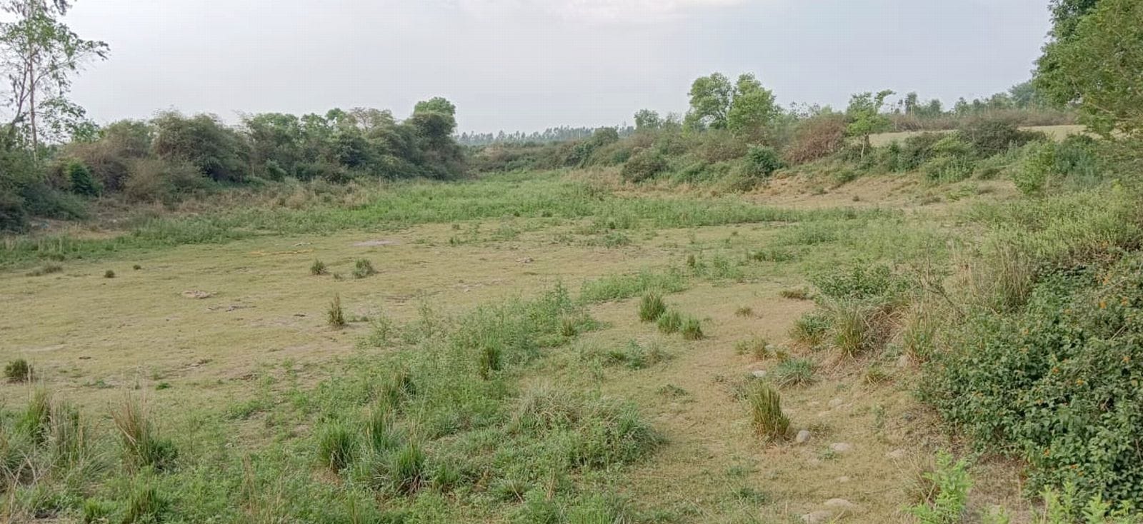 आसफपुर के पास नाली के रूप में दिखाई देती सूखी पड़ी अरिल नदी। संवाद