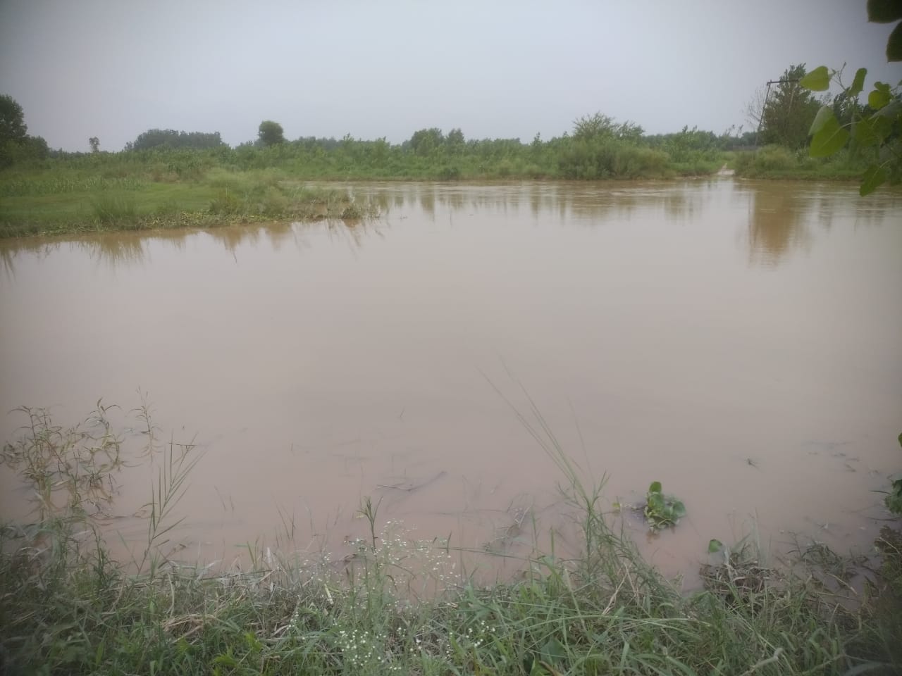 नगर में हुई बारिश में गुजरते छात्र। नगर में हुई बारिश में गुजरते छात्र।