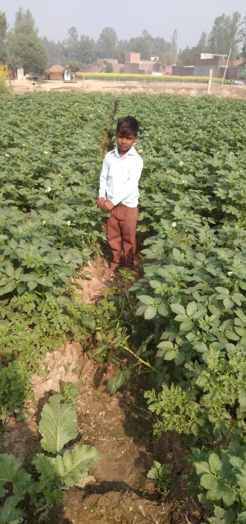 मृतक मोनू