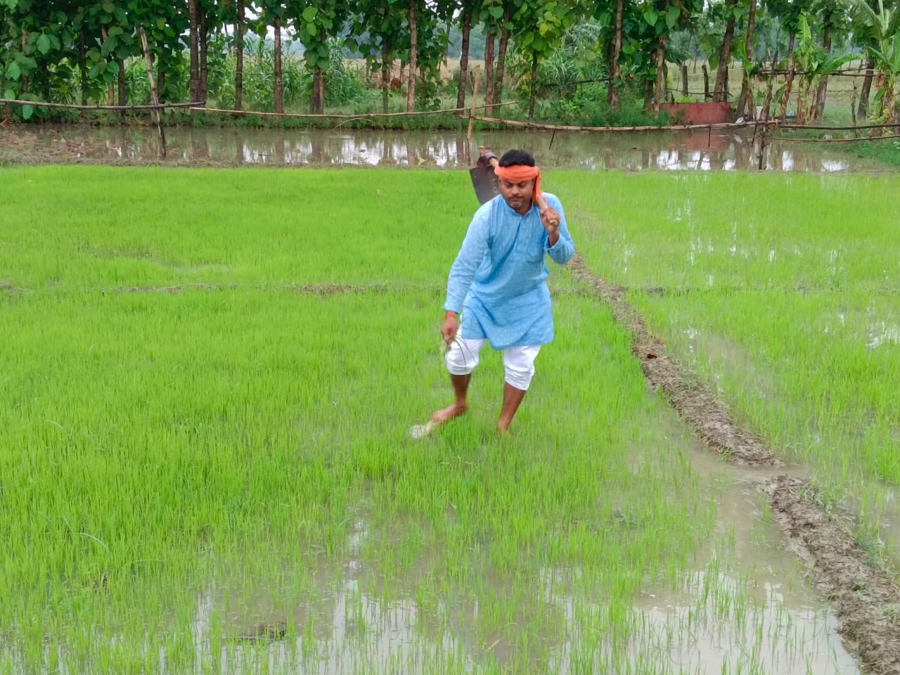 बनकटी क्षेत्र मे बारिश होने पर खेत में काम करता किसान।