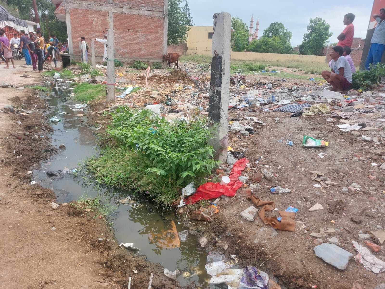 गौरी शंकर मंदिर जाने वाले मार्ग से गुजरते जानवर। संवाद