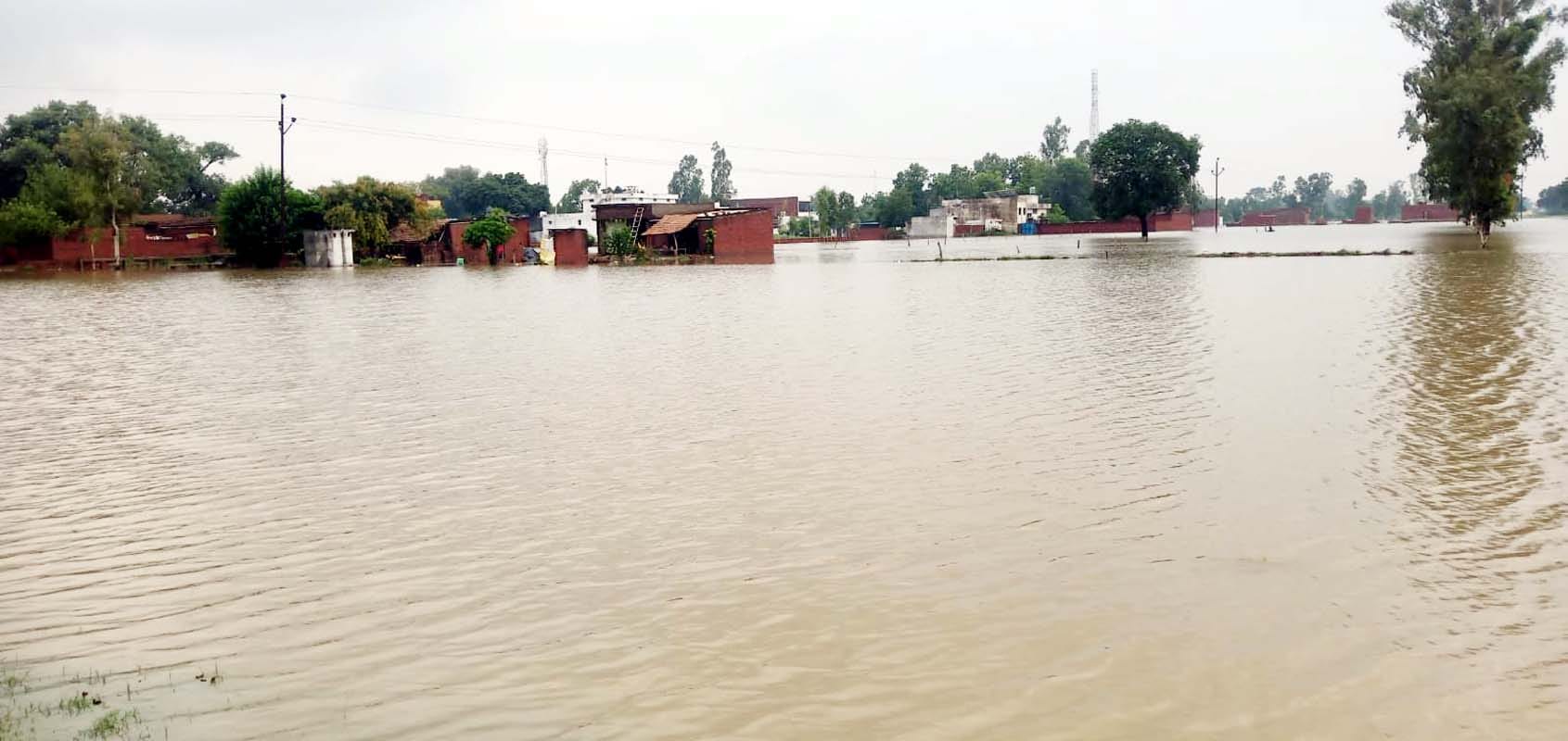 भैंसी नदी के पास डूबा ट्रक और ऊपर खड़ा चालक