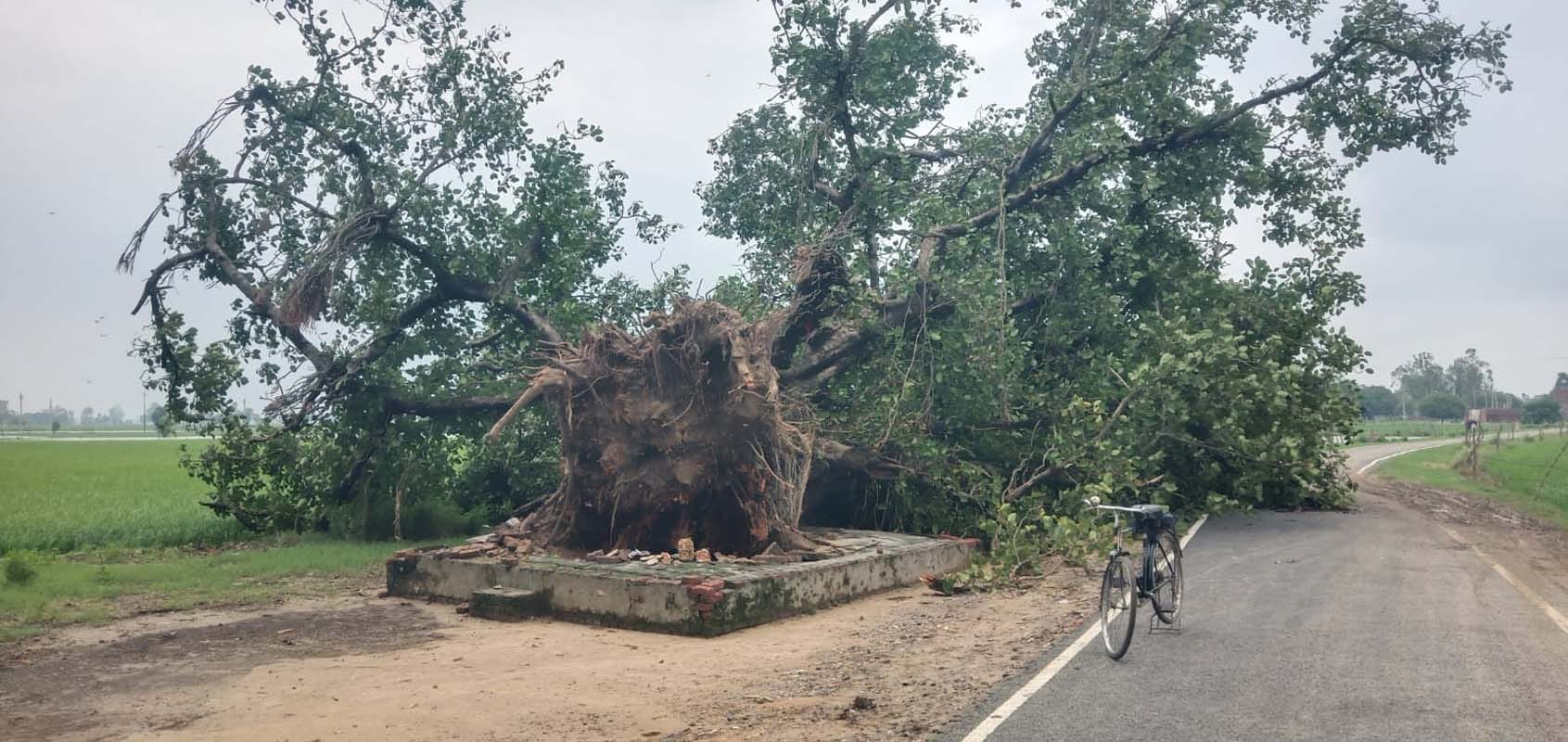 भैंसी नदी के पास डूबा ट्रक और ऊपर खड़ा चालक