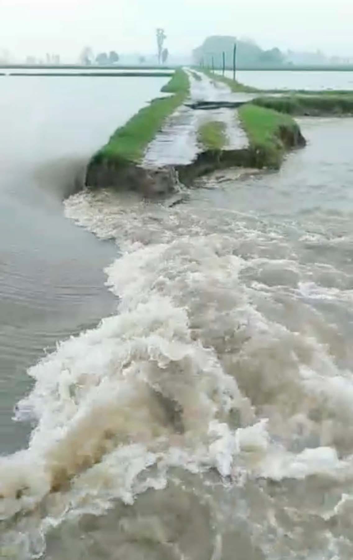 भैंसी नदी के पास डूबा ट्रक और ऊपर खड़ा चालक