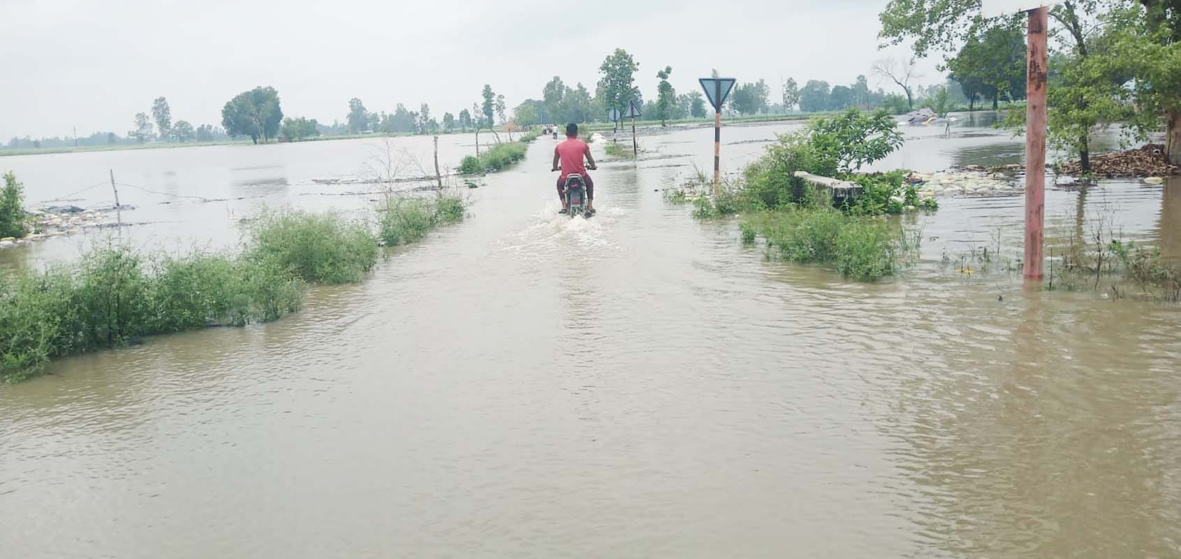 भैंसी नदी के पास डूबा ट्रक और ऊपर खड़ा चालक